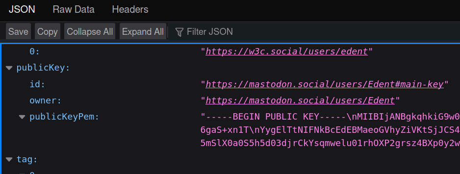 Screenshot of JSON. As described in text.
